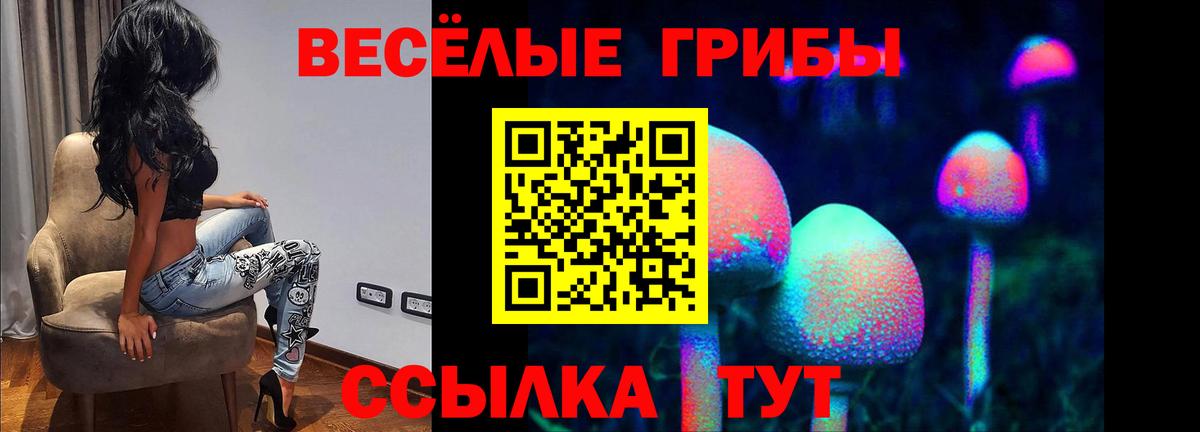 Галлюциногенные грибы MAGIC MUSHROOMS  Галлюциногенные грибы Psilocybine cubensis  Вход с VPN  Строитель 